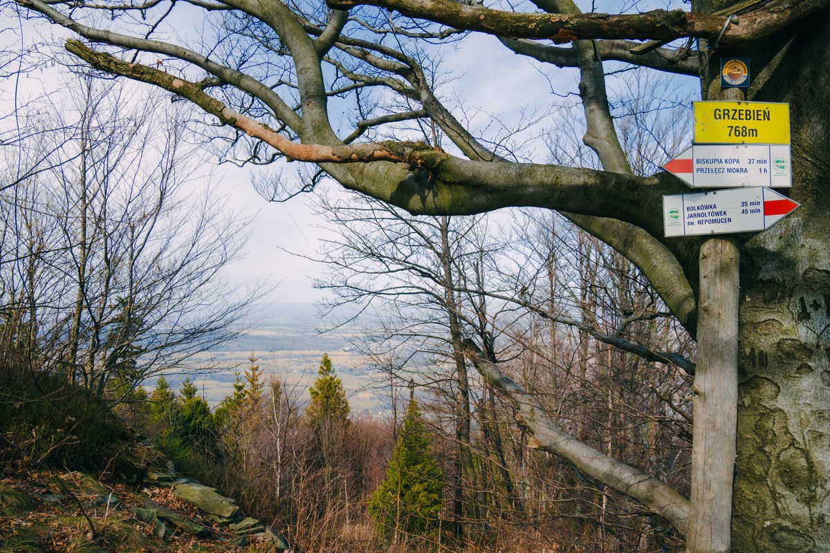 Grzebień – 768 m n.p.m.